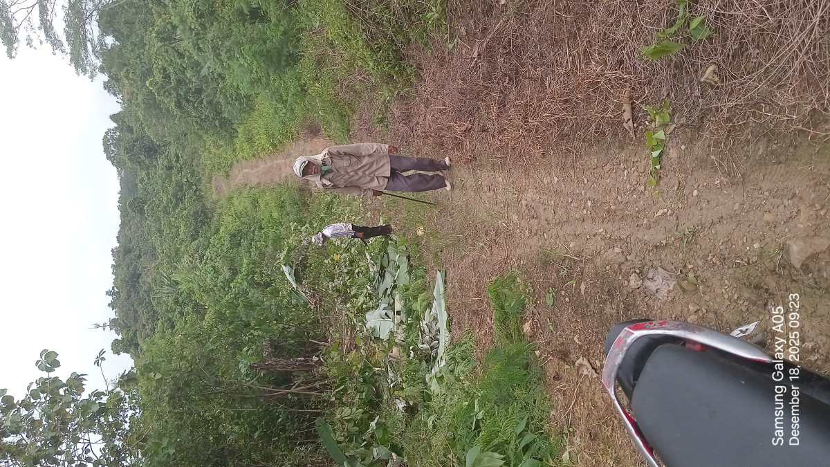 Perawatan jalan