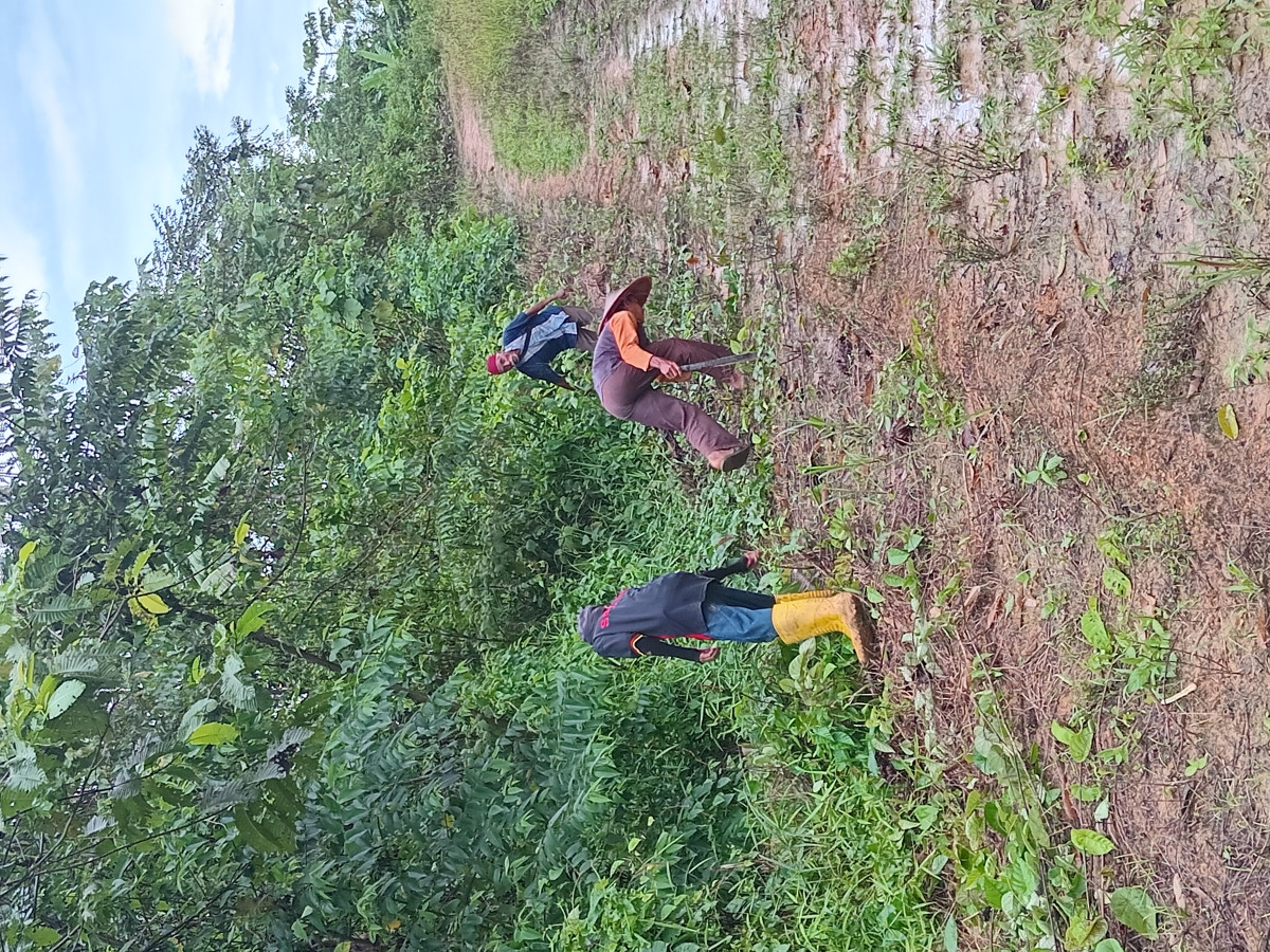 Gotong royong
