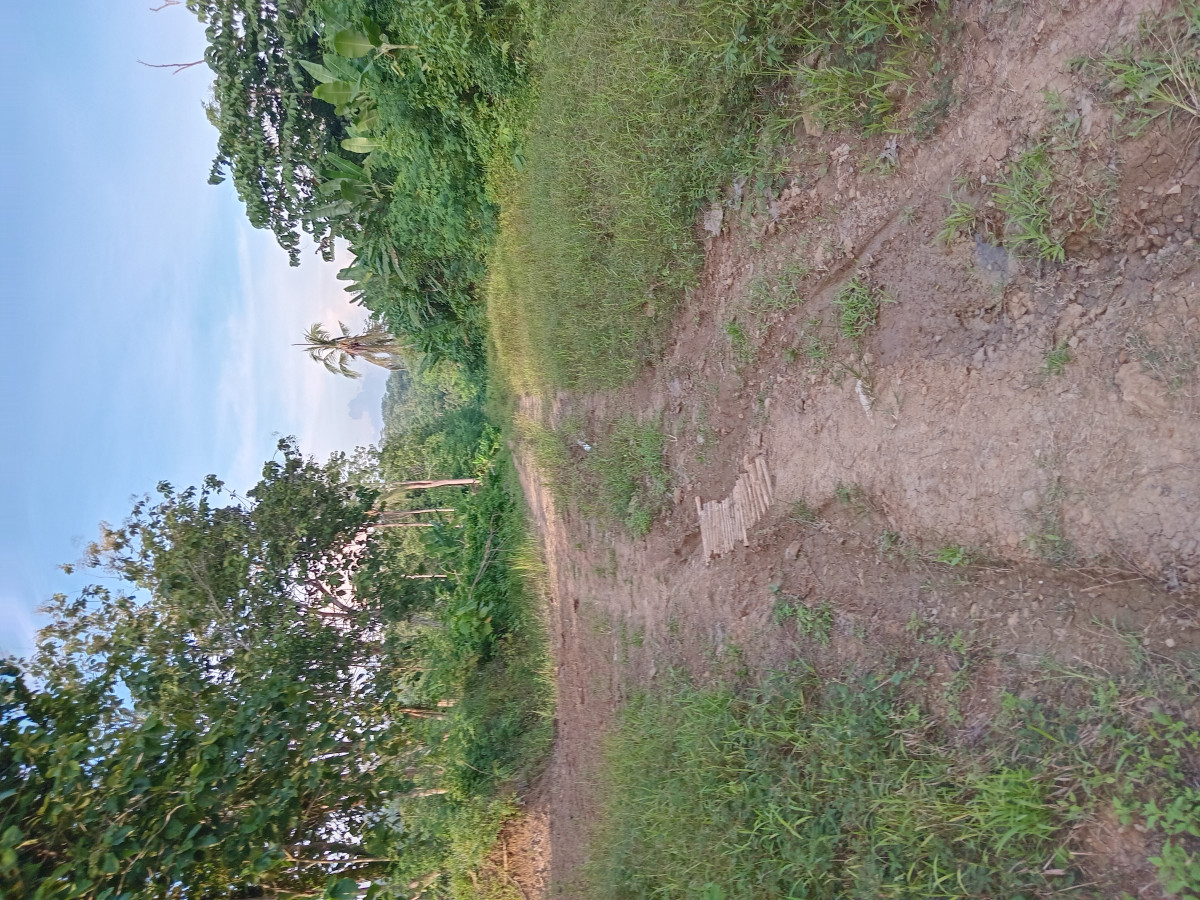 Kerja bakti