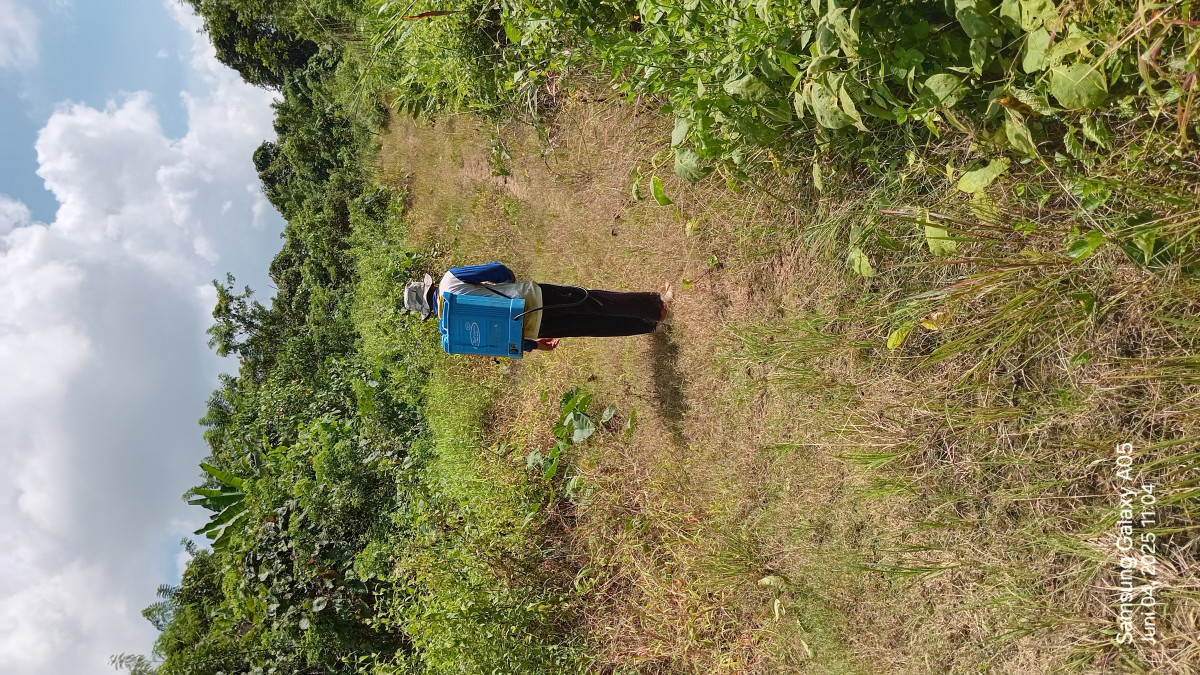 Gotong royong