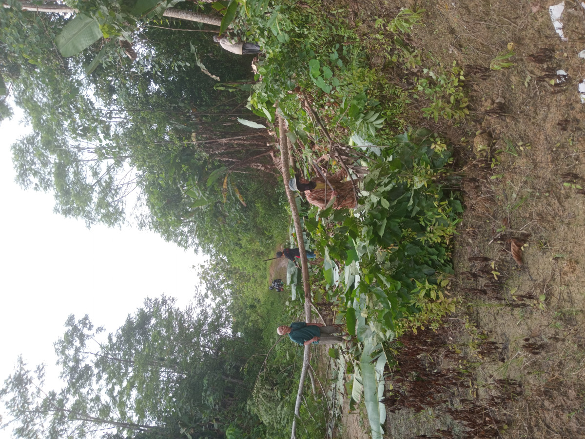 Kerja bakti