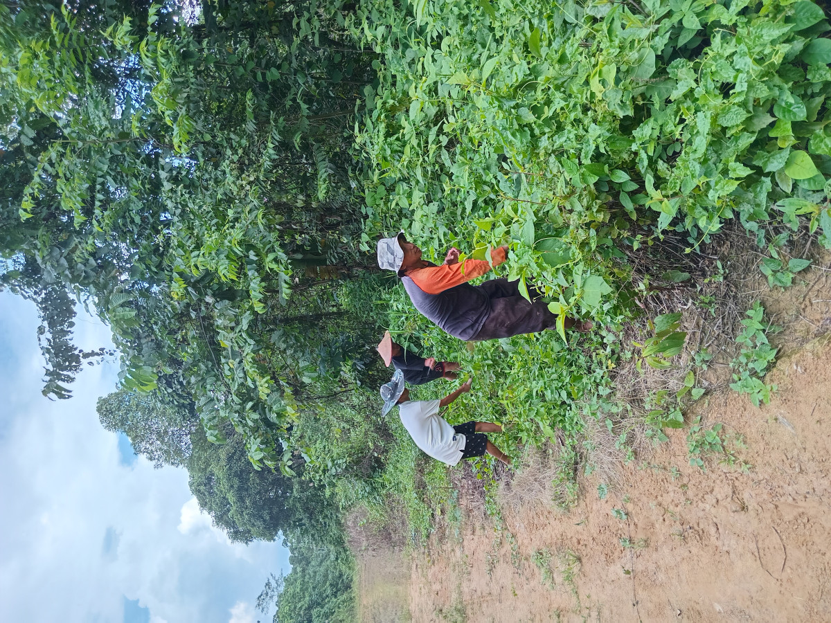 Kerja bakti
