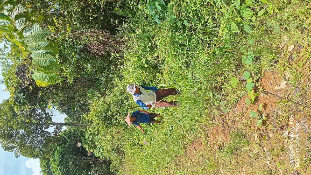 Gotong royong