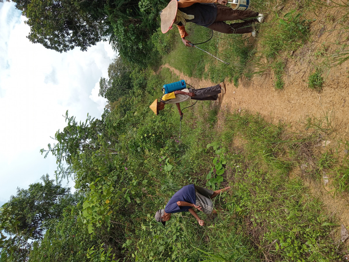 Gotong royong warga RT.36