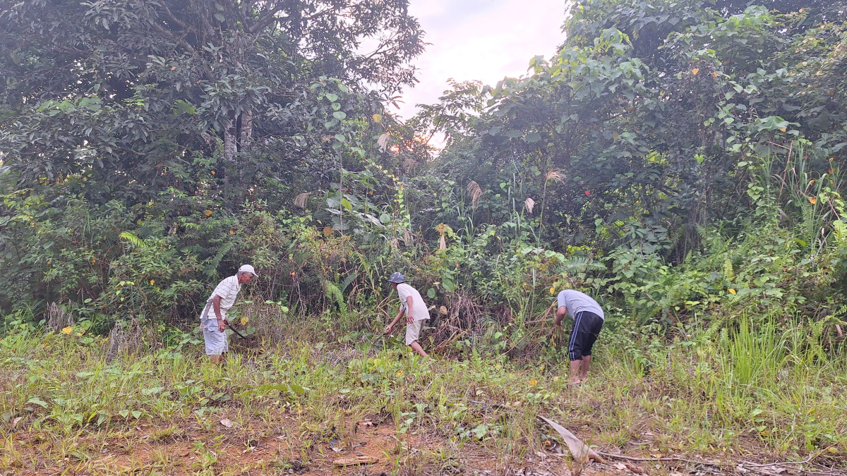 Gotong royong