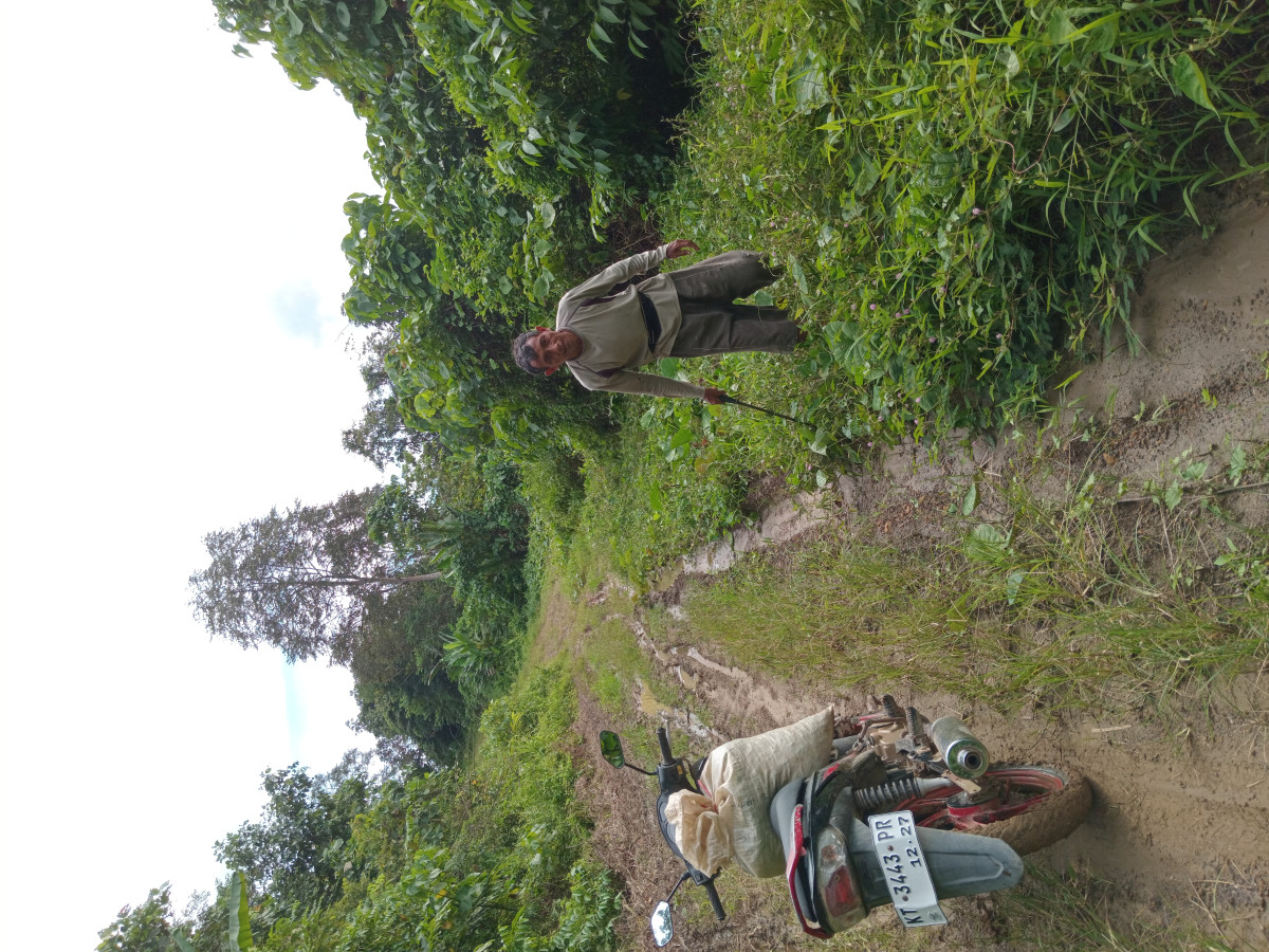 Gotong royong