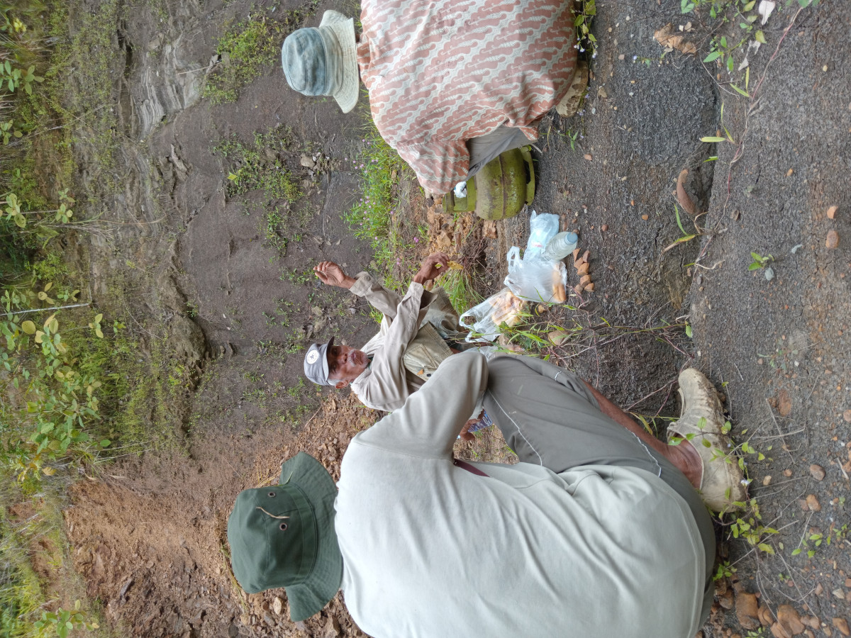Gotong royong