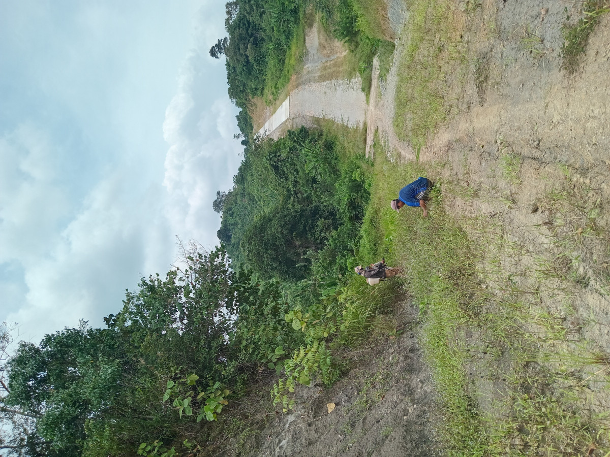 Gotong royong