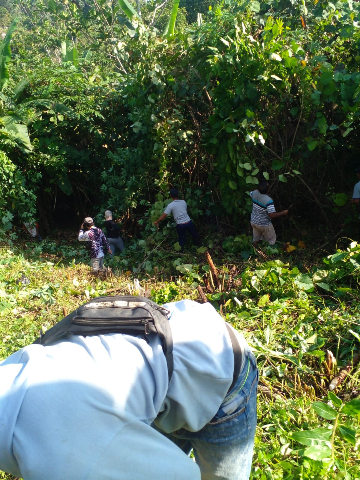 Gotong royong Minggu