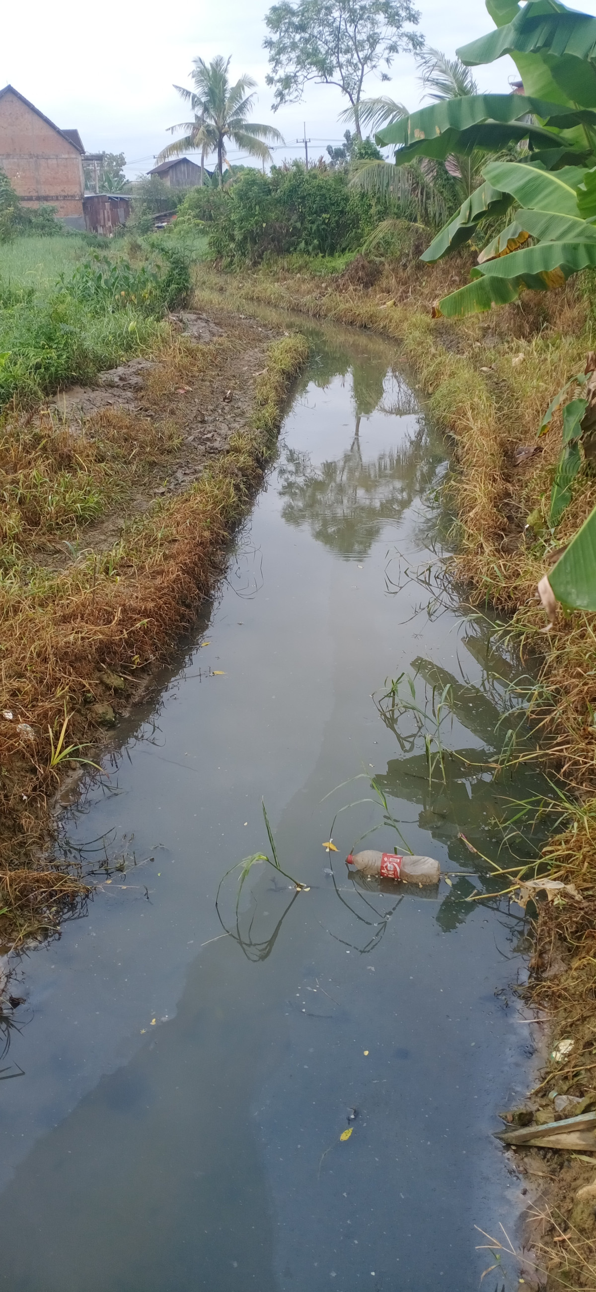 Gotong royong