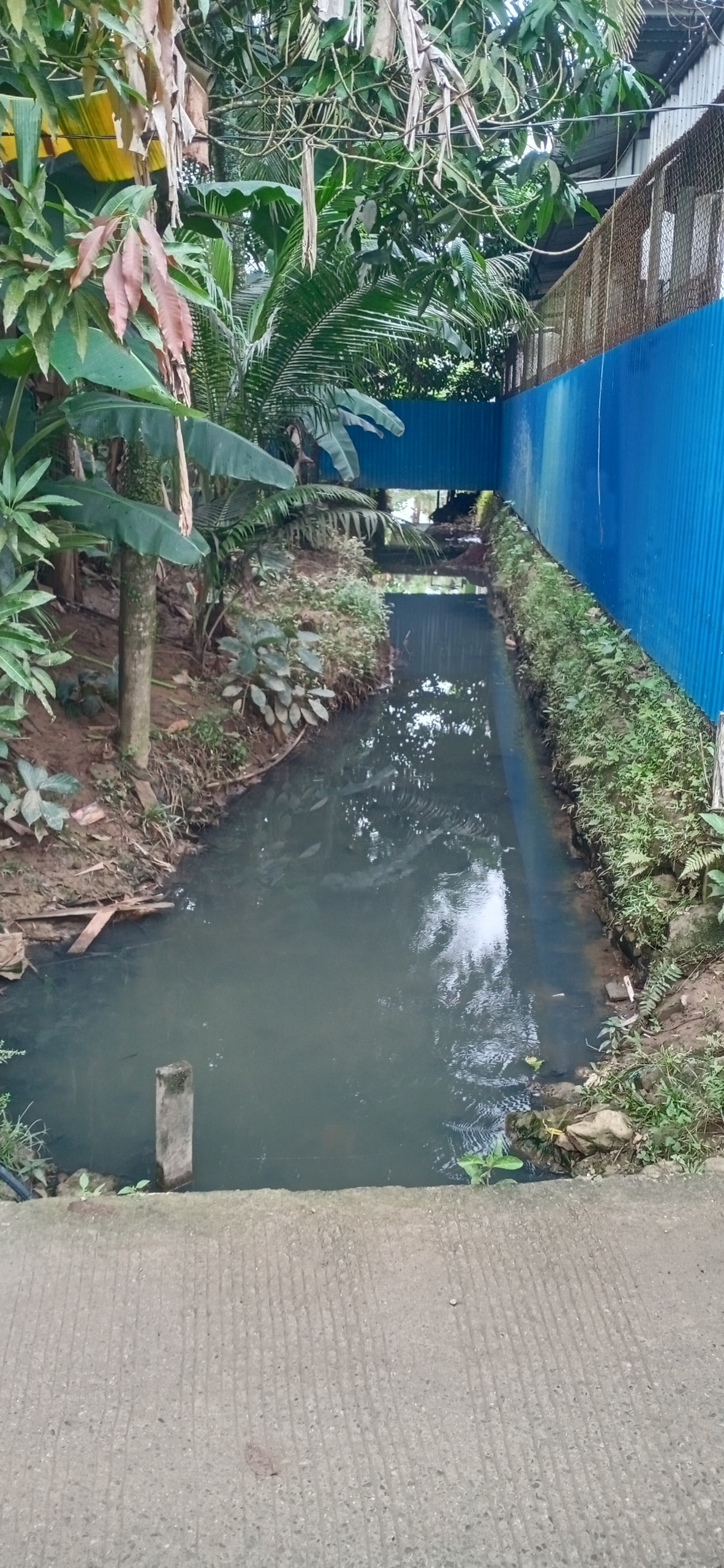 Gotong toyong