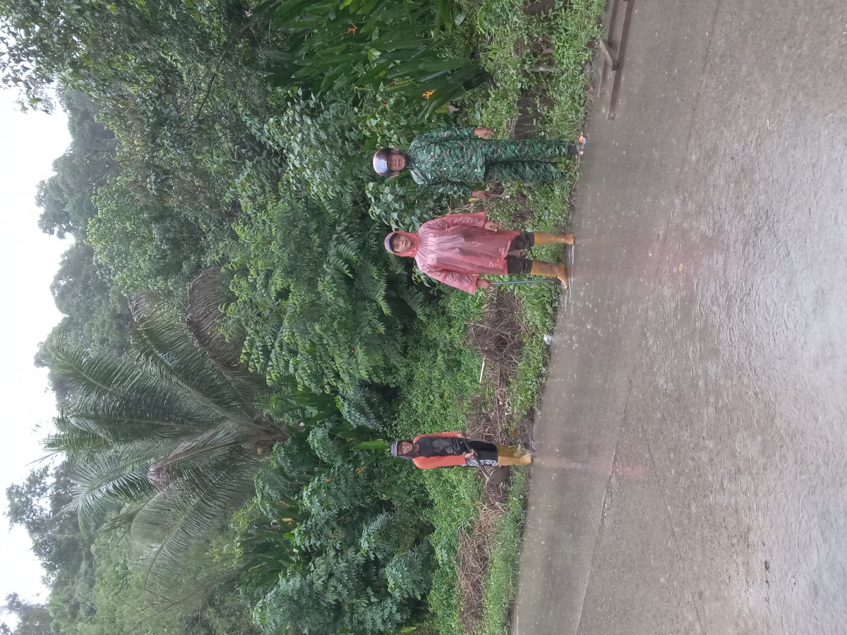 Jalan meranti talangsari