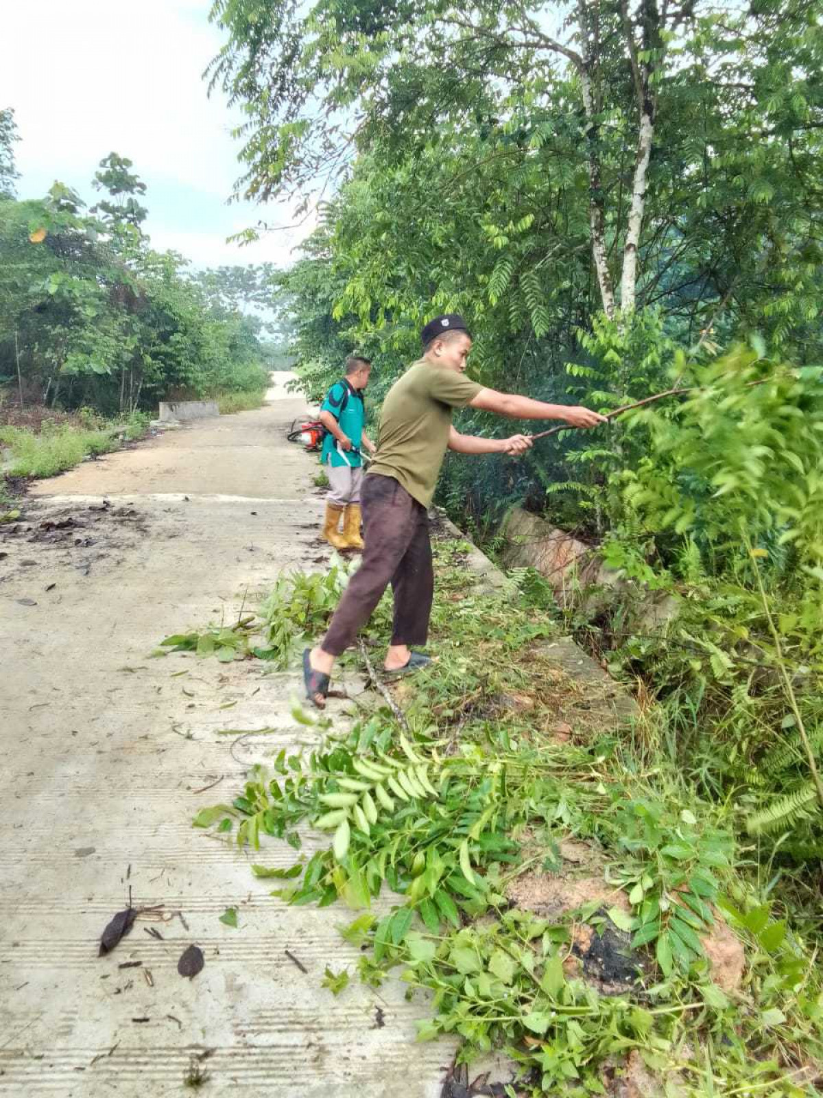 Pembersihan paret dan pemotongan rumput