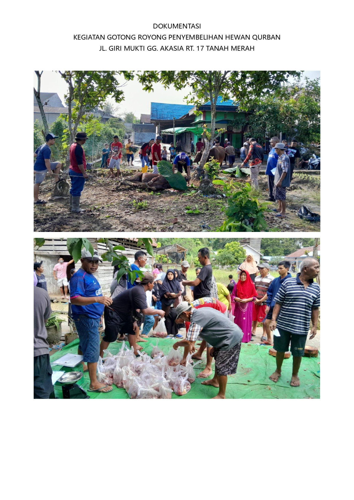 Penyembelihan hewan qurban di Jl. Giri Mukti Gg. Akasia RT. 17 Tanah Merah
