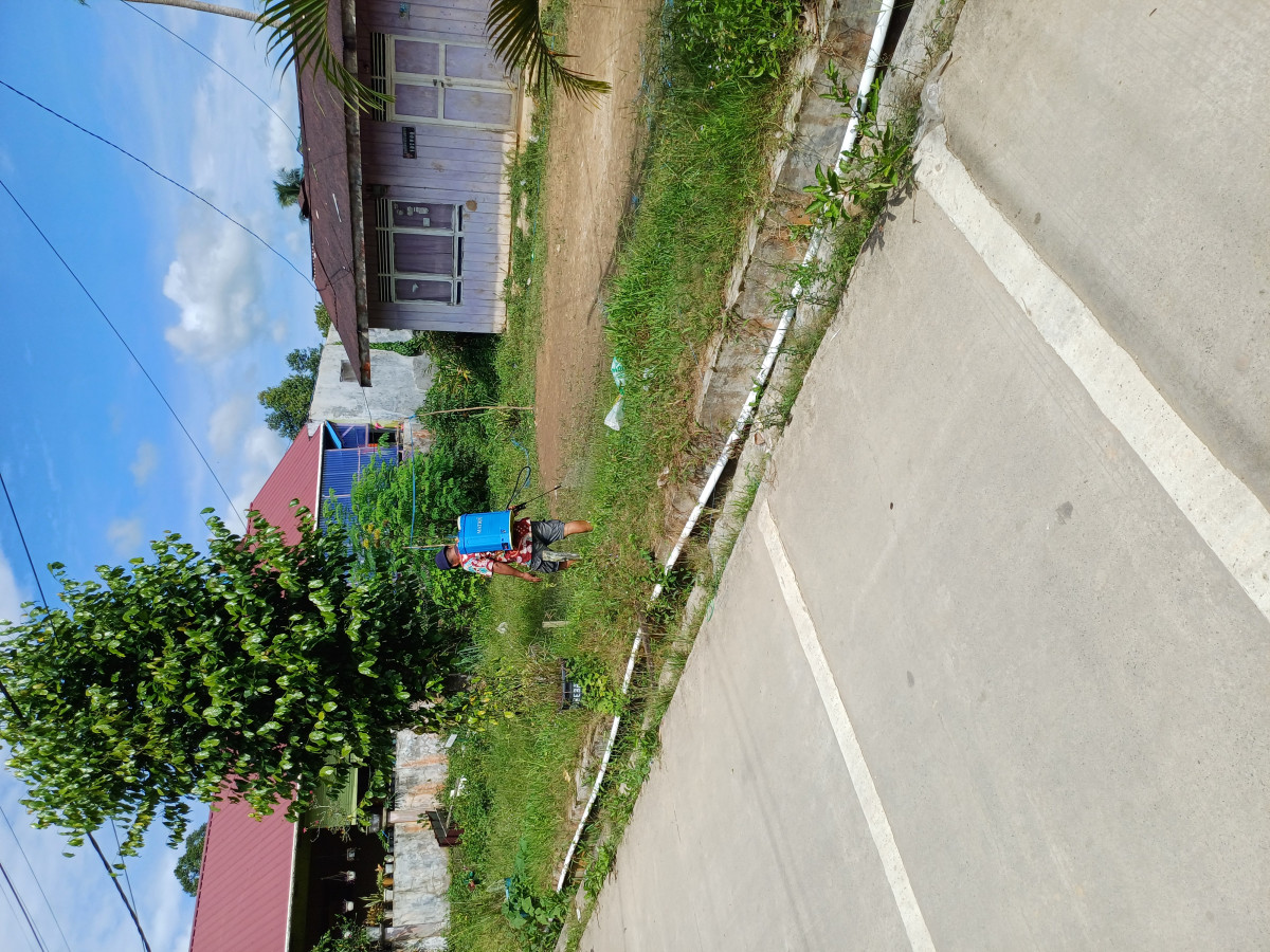 Pembersihan rumput jl girimukti rt 18
