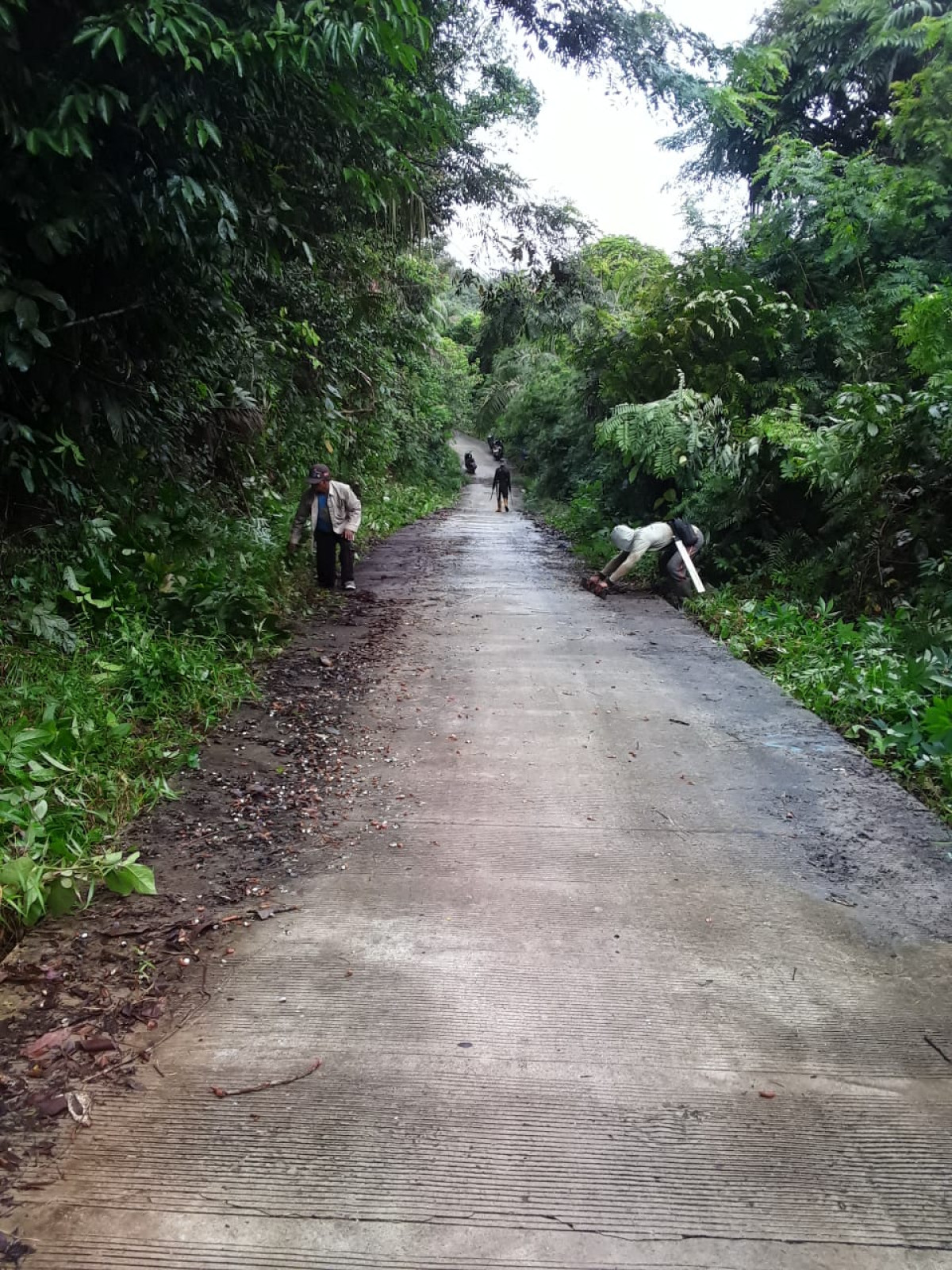Pembersihan jalan usaha tani