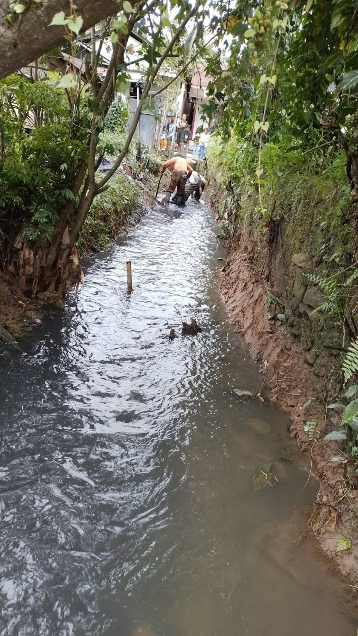 Membersihkan drainase