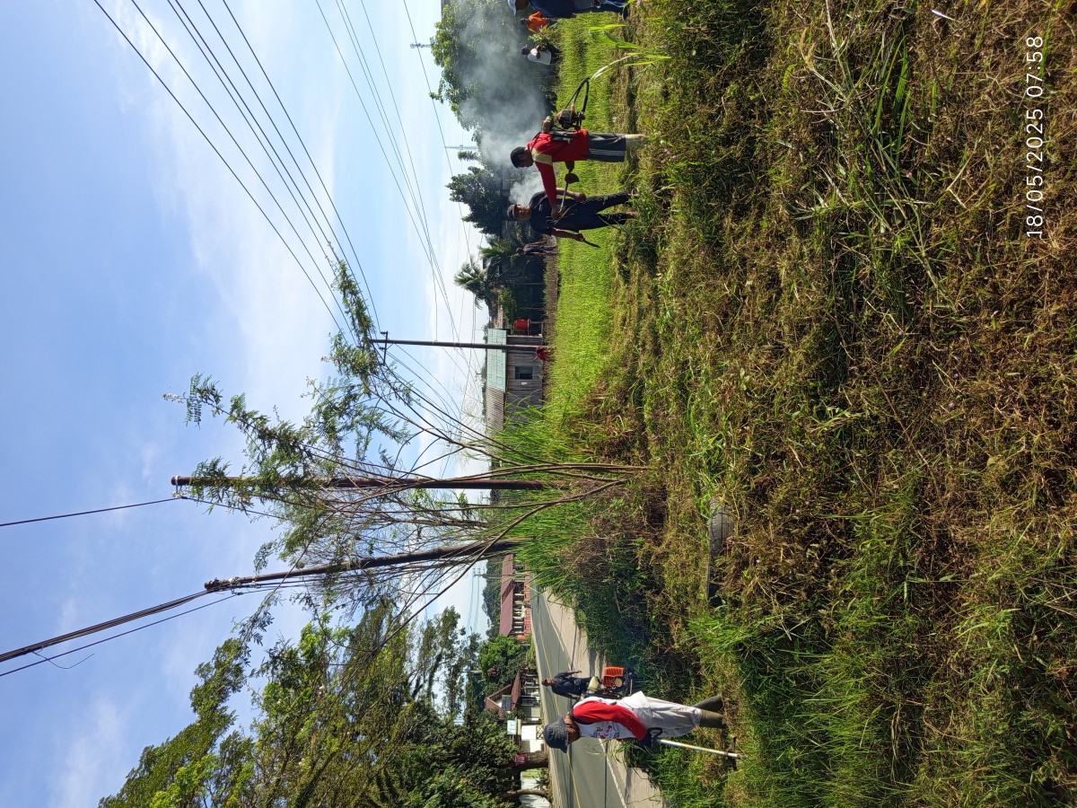Gotong royong