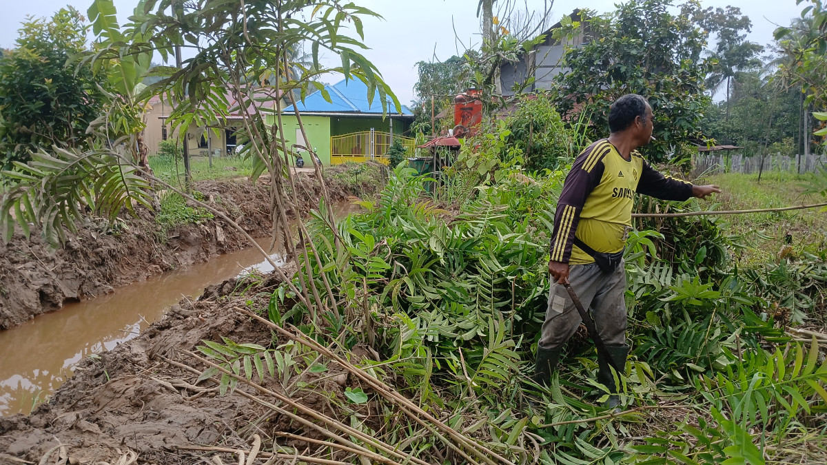 Pemasangan ajir batas paret untuk panduan normalisasi saluran air