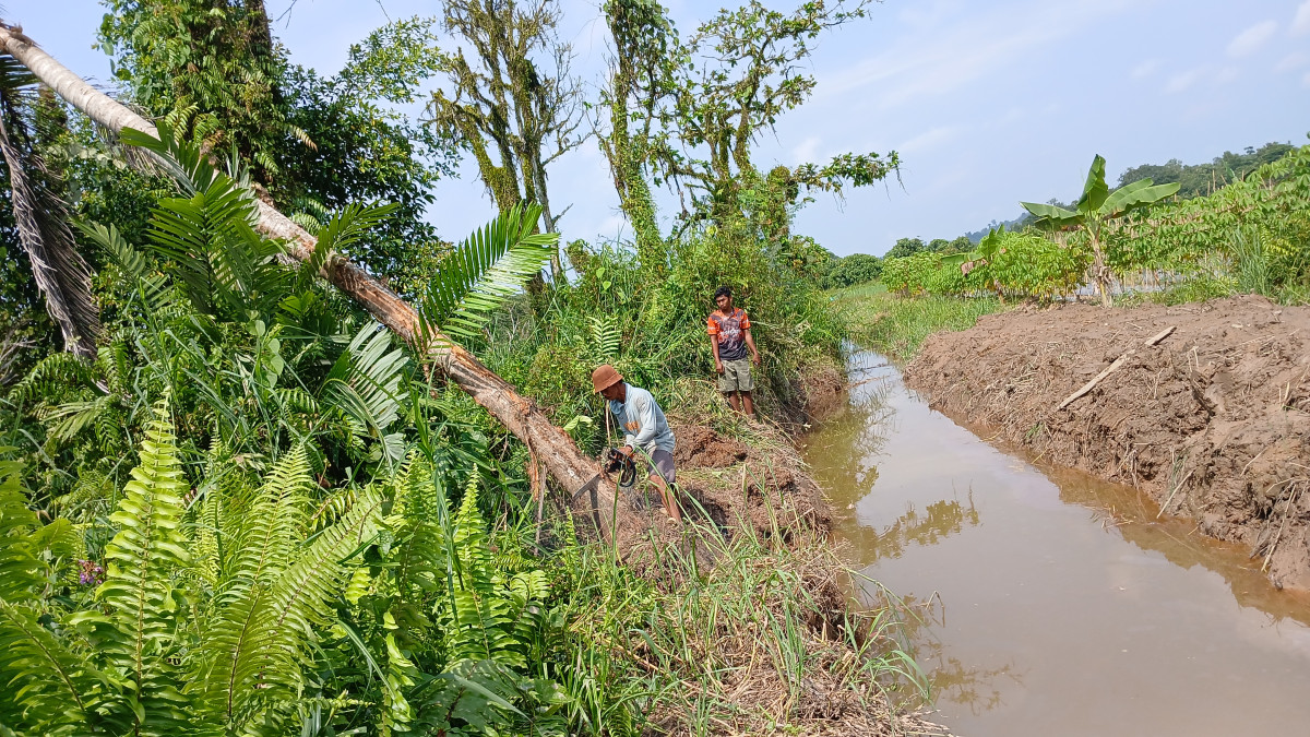 Pencarian bantalan heksa untuk pembersihan saluran air