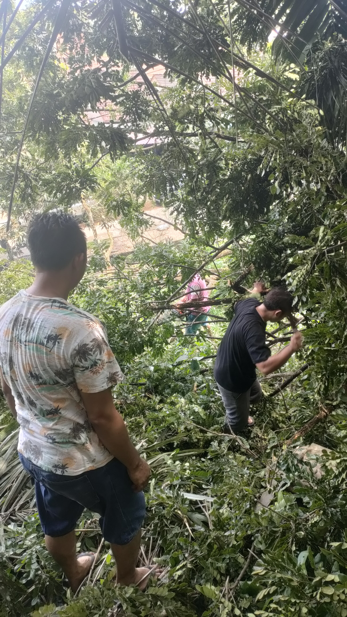 Gotong Royong Membersihkan Pohon Tumbang di Jl. Lavender VI