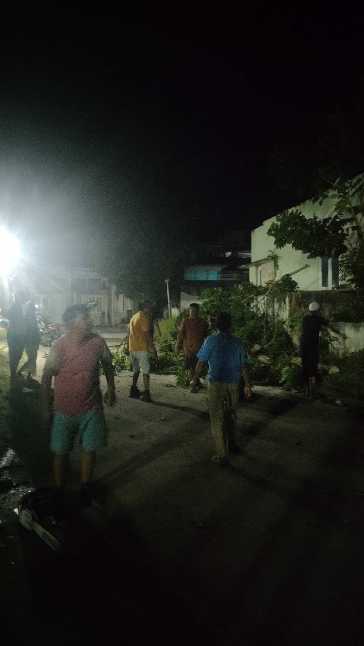 Gotong Royong Membersihkan Pohon Tumbang (Kena Kabel Listrik) di Lily 1