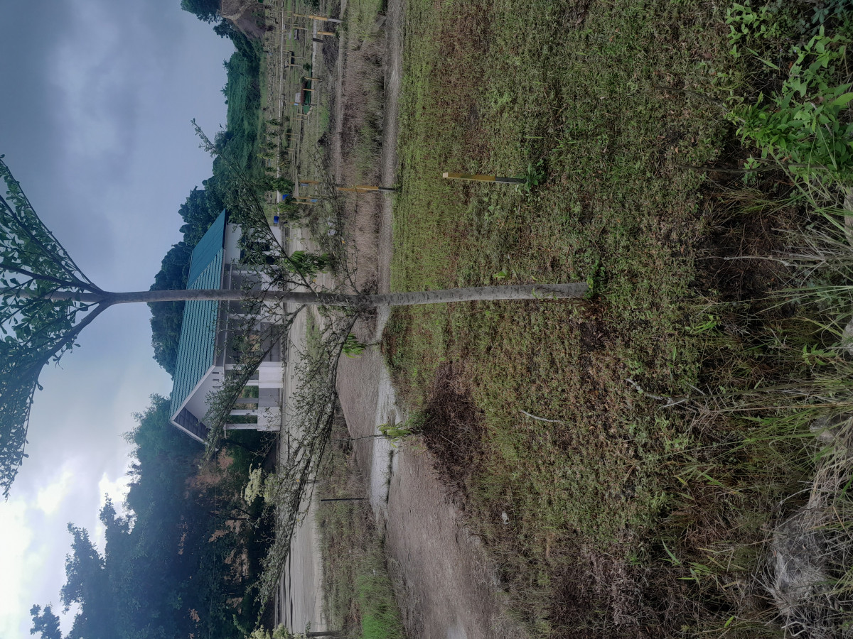 Kerja bakti