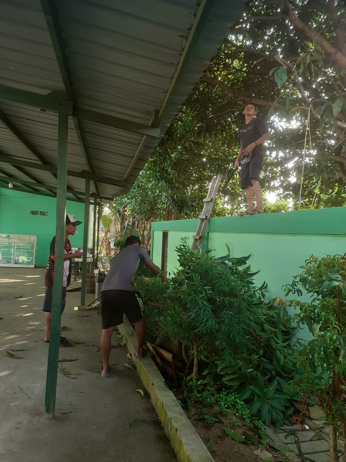 Membersihkan lingkungan masjid( potong rumput, bersihkan parit sari sampah )