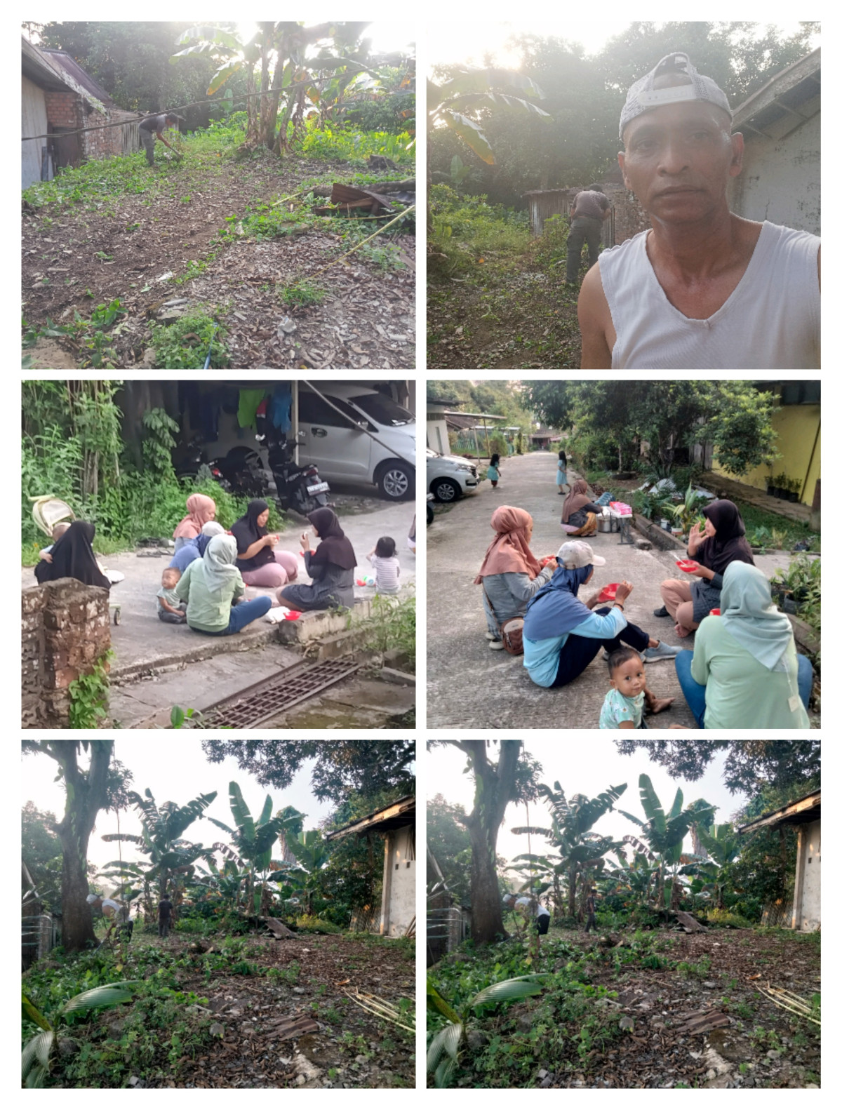 Pembersihan lahan kebun