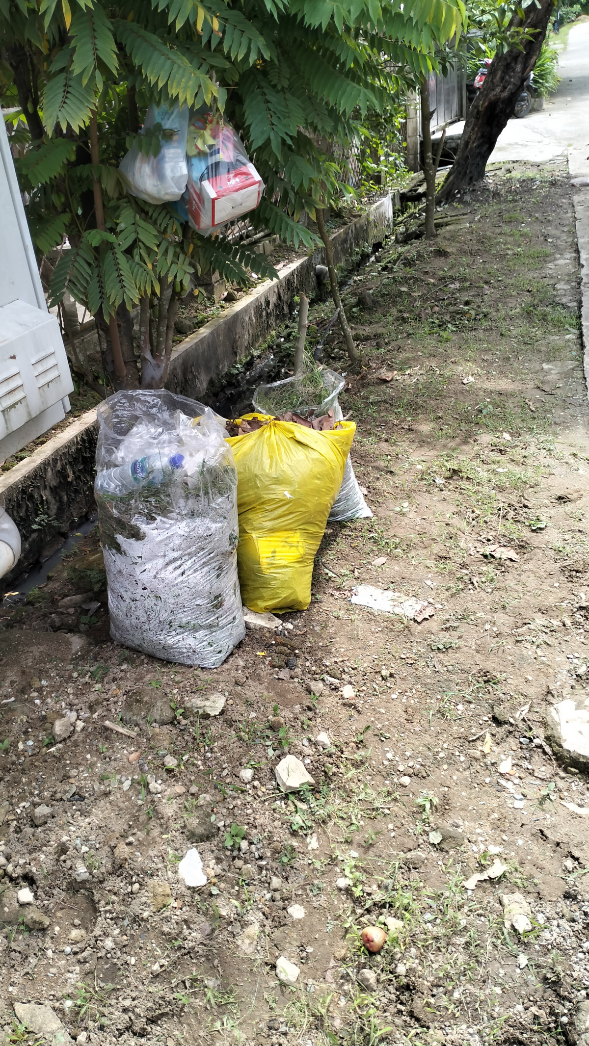 pembersihan rumput di simpangan blok D SLI RT.13
