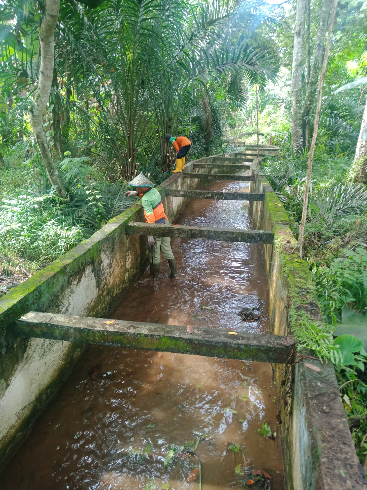Kerja bakti blok L dan m