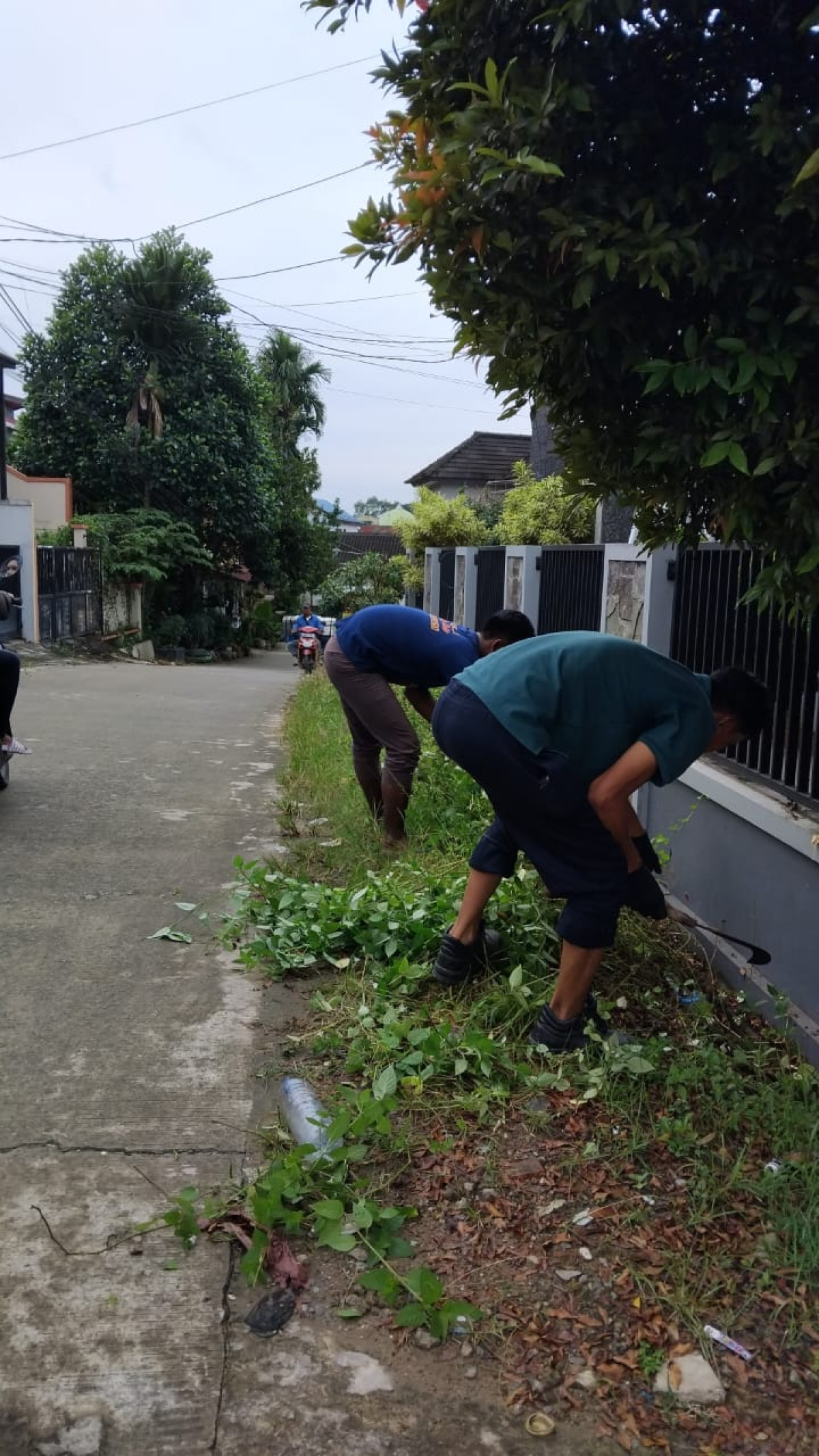 Kerja bakti, bersama warga RT. 19 , gg damai