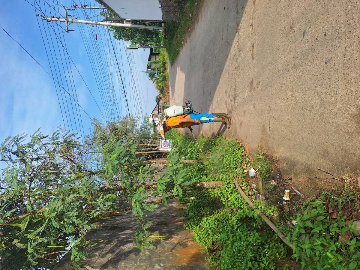 Jl. Wanyi RT 22 Gotong-royong