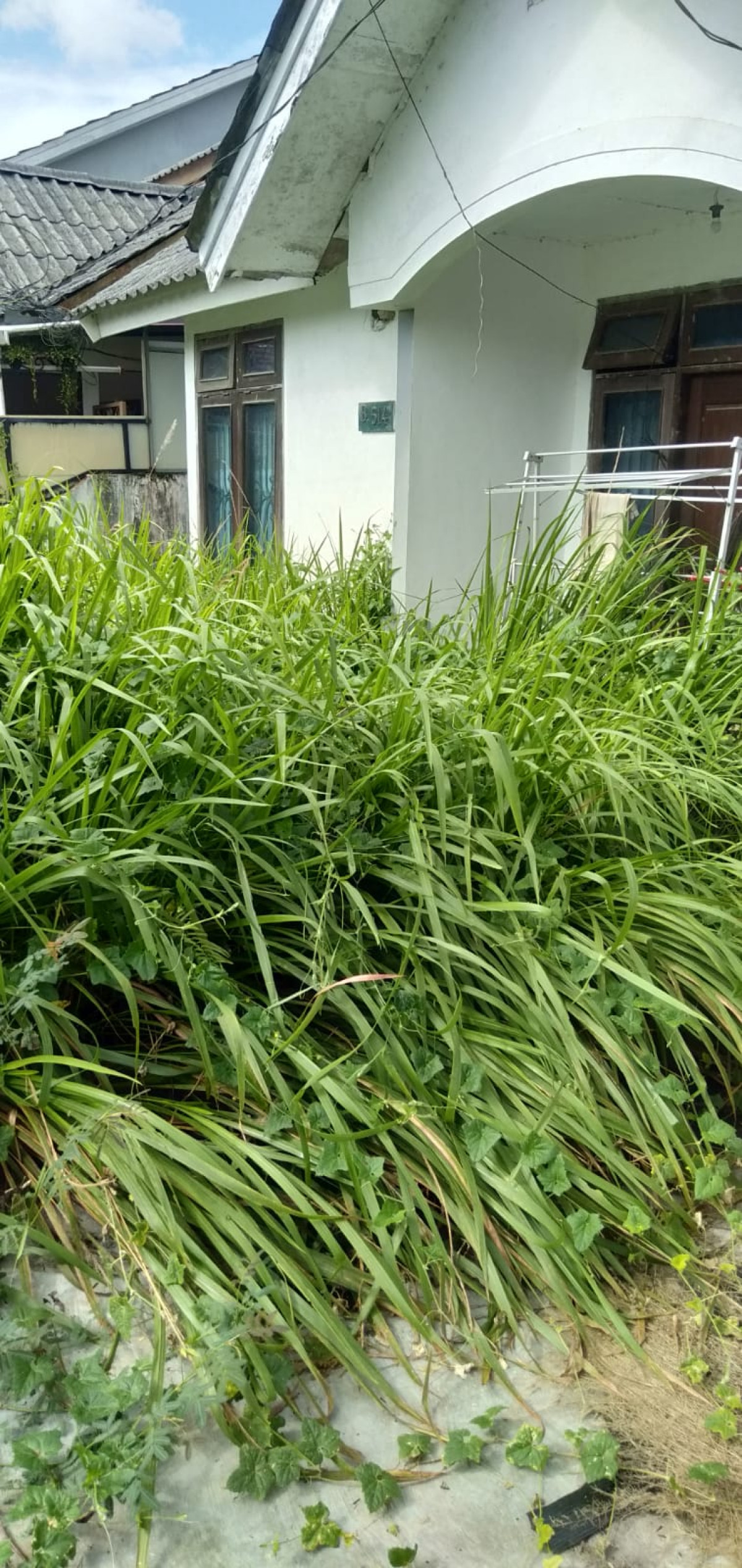 Bersih Lingkungan