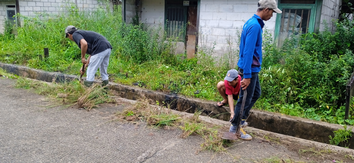 Bersihkan parit terong 1 & bengkuring terong 6 potong rumput di jembatan rawa