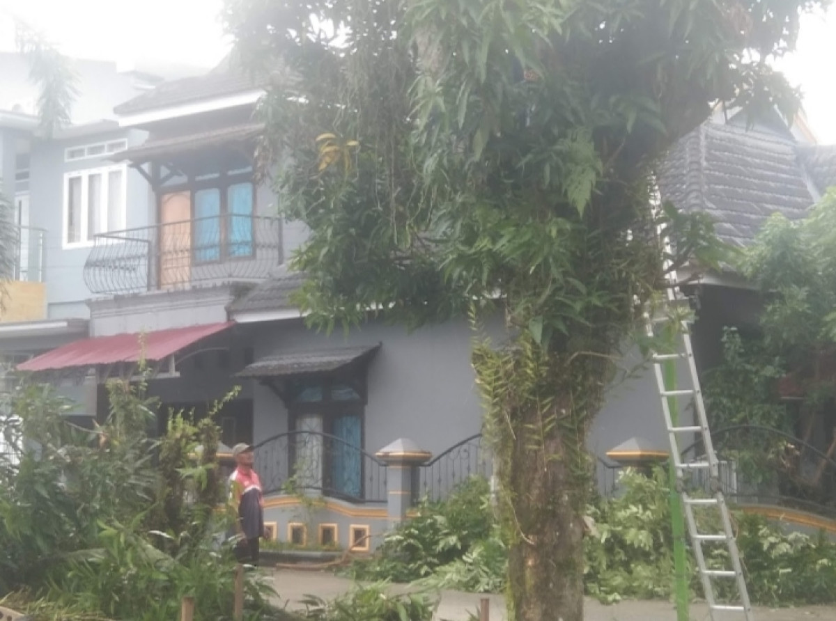 Kerja bakti / gotong dilingkungan RT 41 Blok D