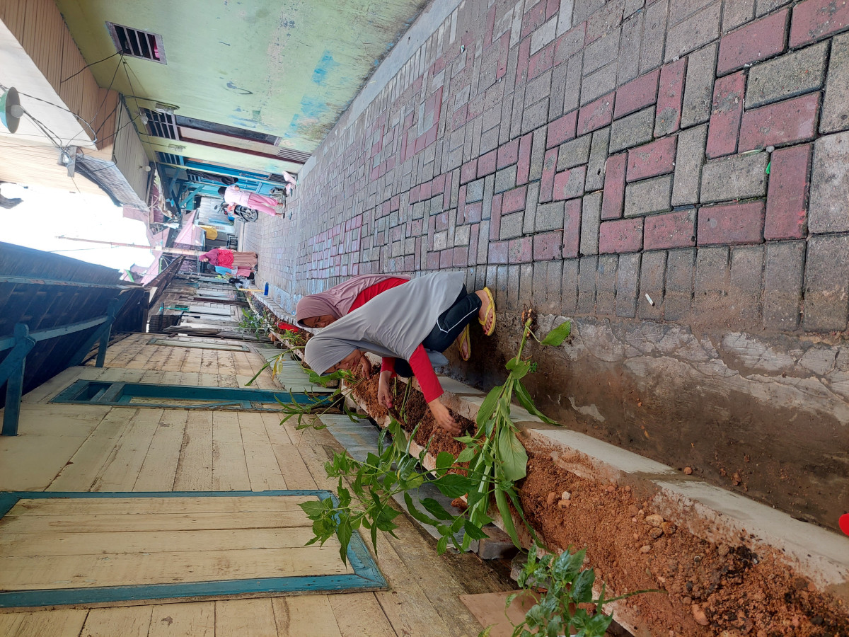 Bersih2 dan penanaman Toga