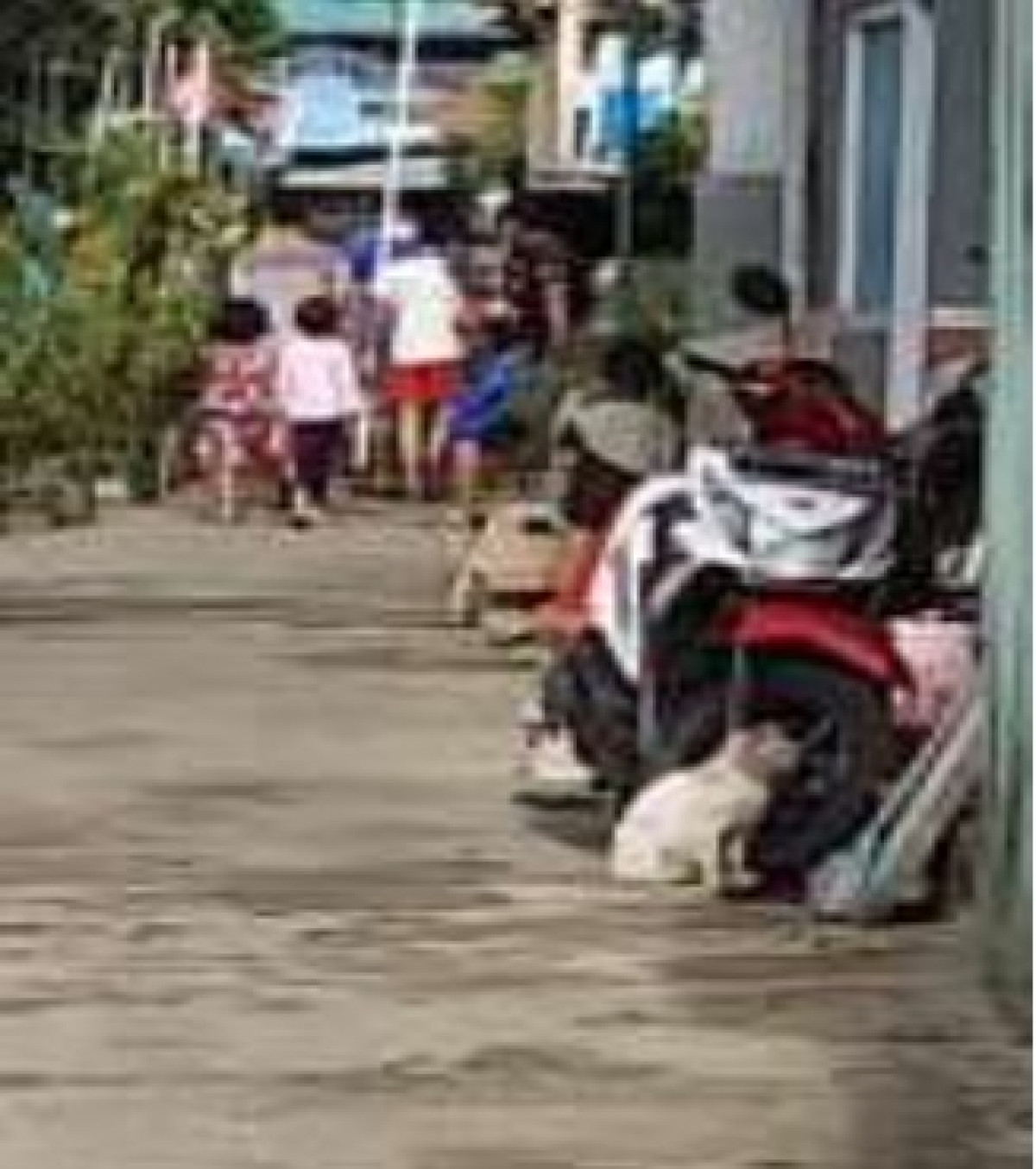 Kegiatan Gotong Royong RT. 03