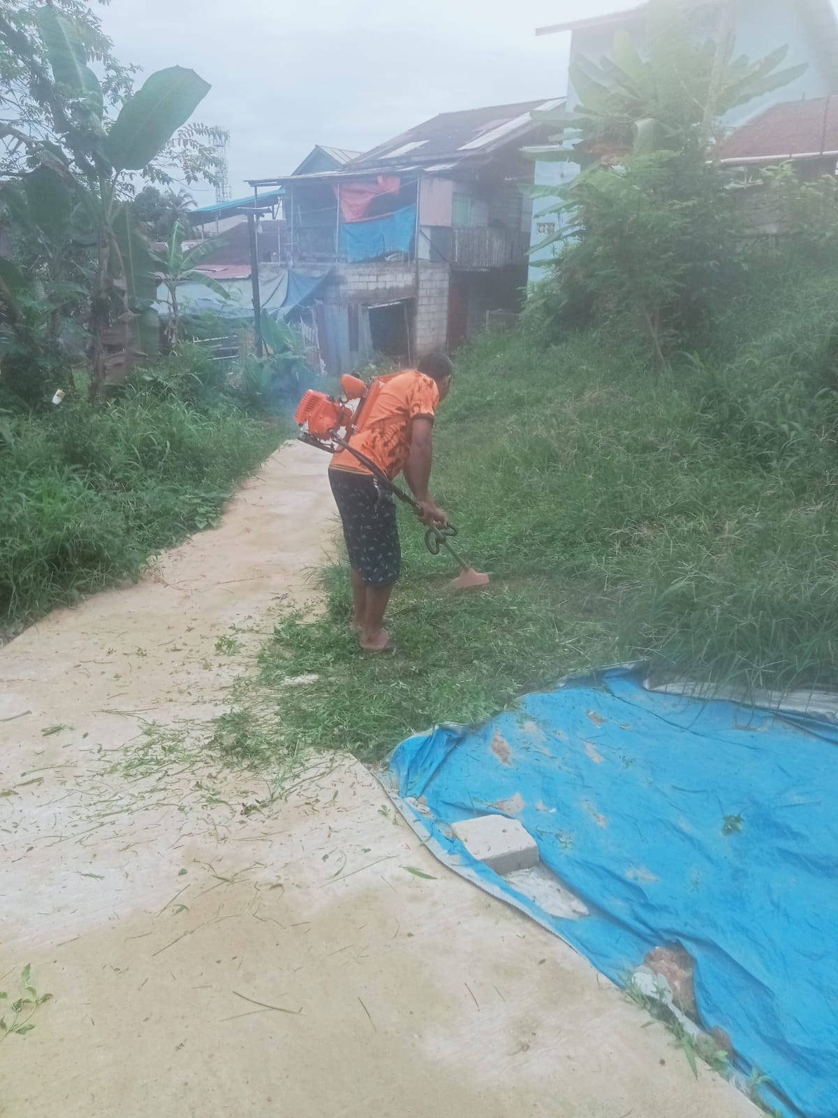 Pemotongan rumput