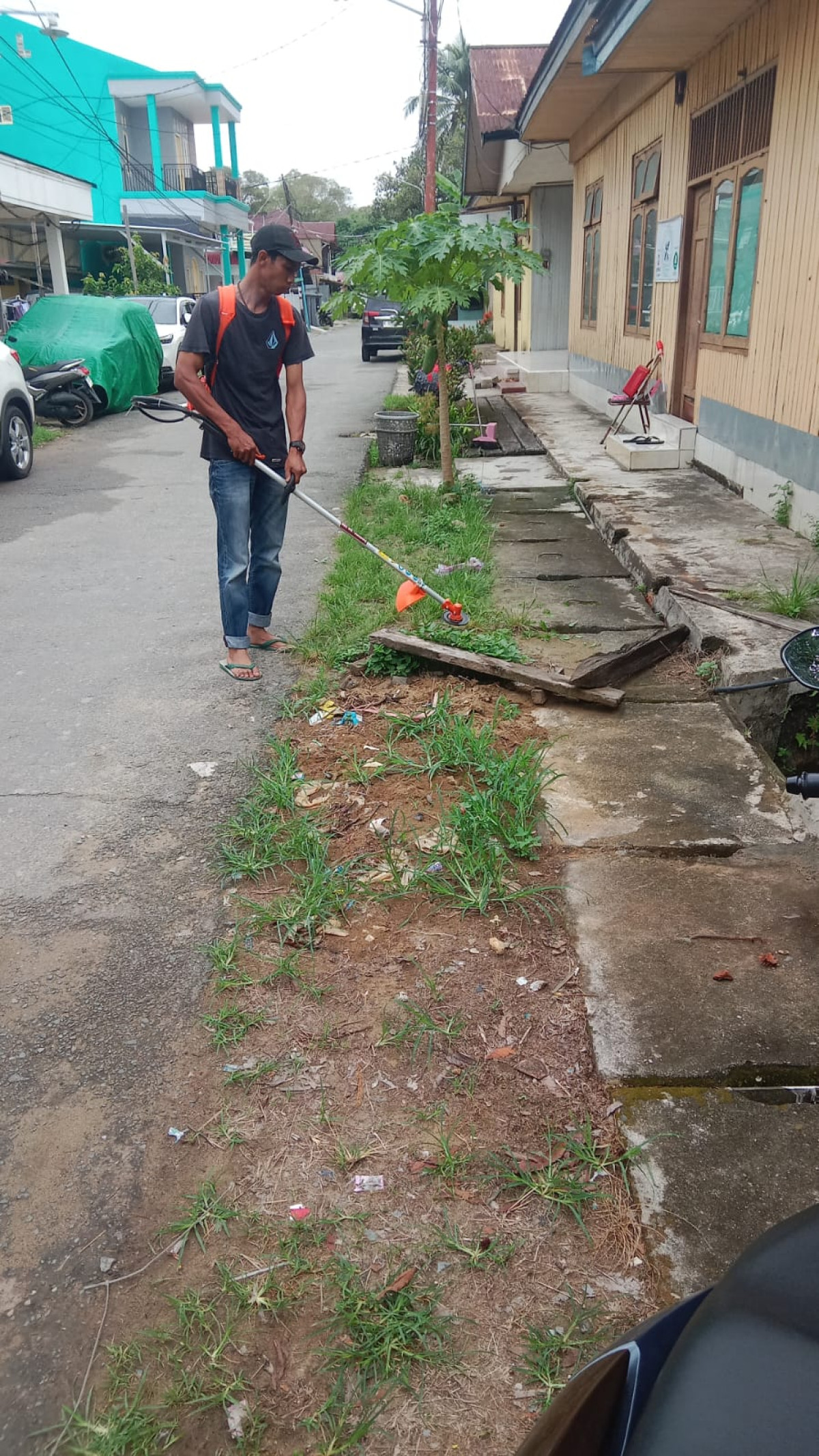 Pembersihan rumput liar area jalan utama