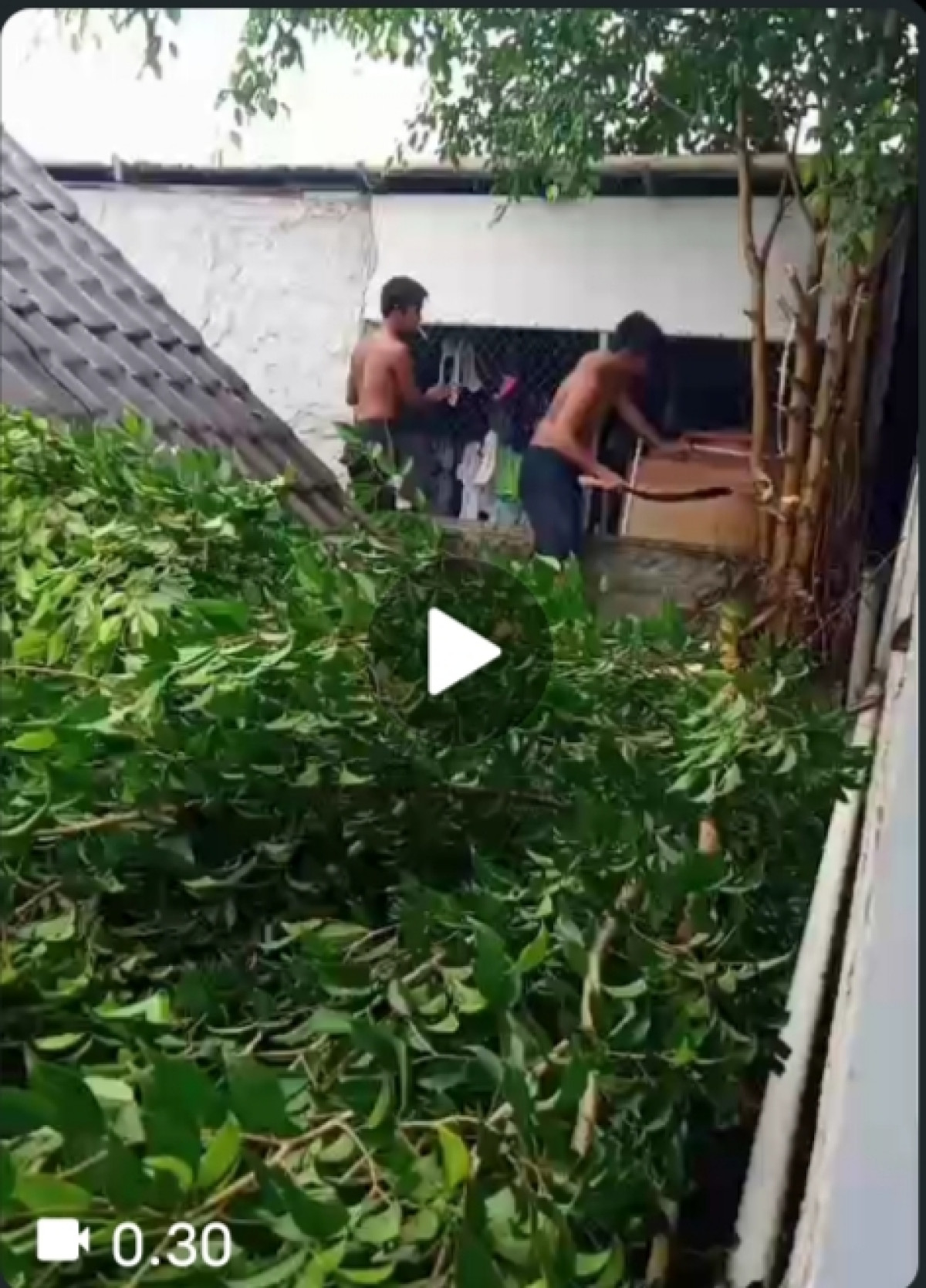 Penebangan pohon di atas rumah warga lingkungan RT21 kelurahan Sambutan