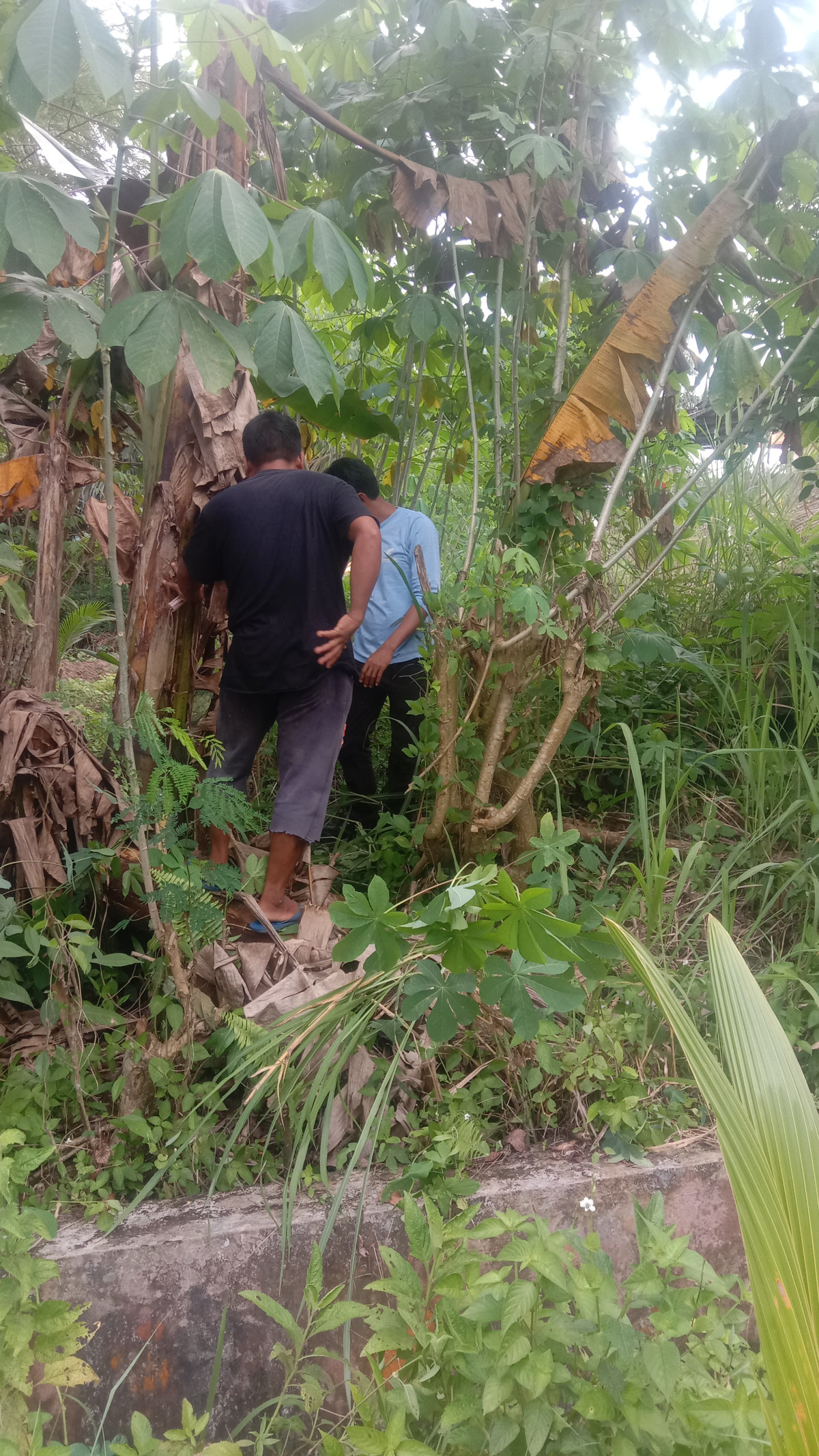 Penebangan pohon roboh blok G5
