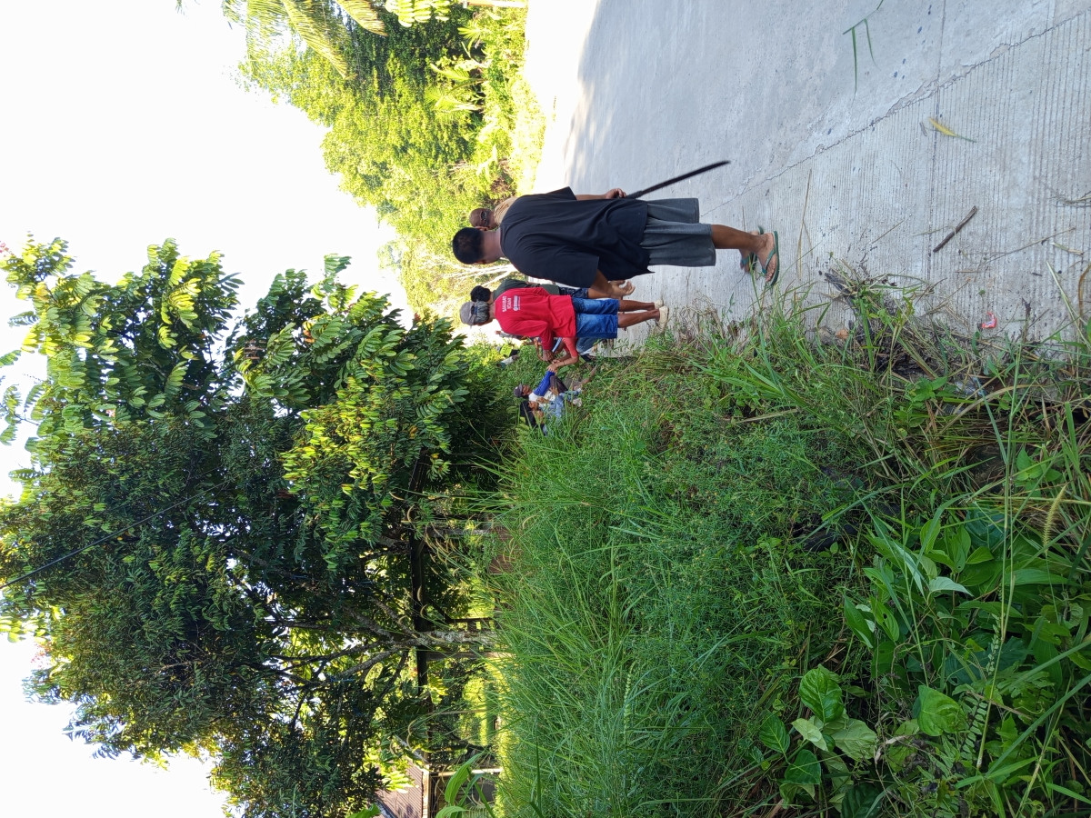 Gotong royong