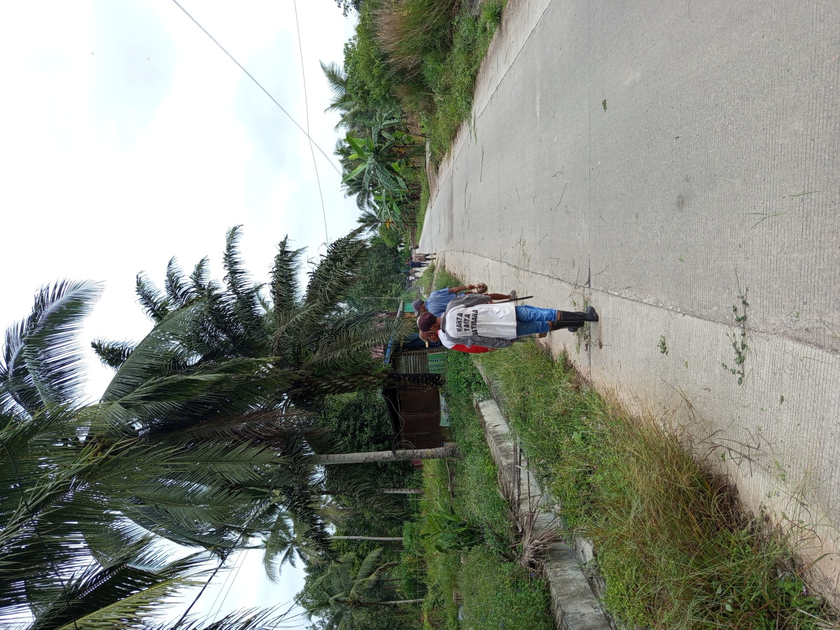 Gotong royong