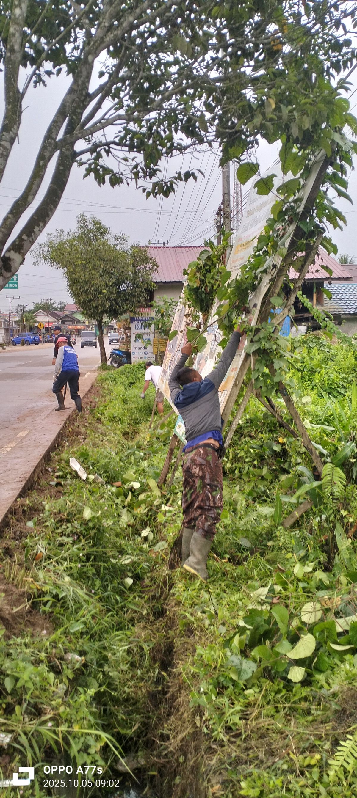 gotong royong massal