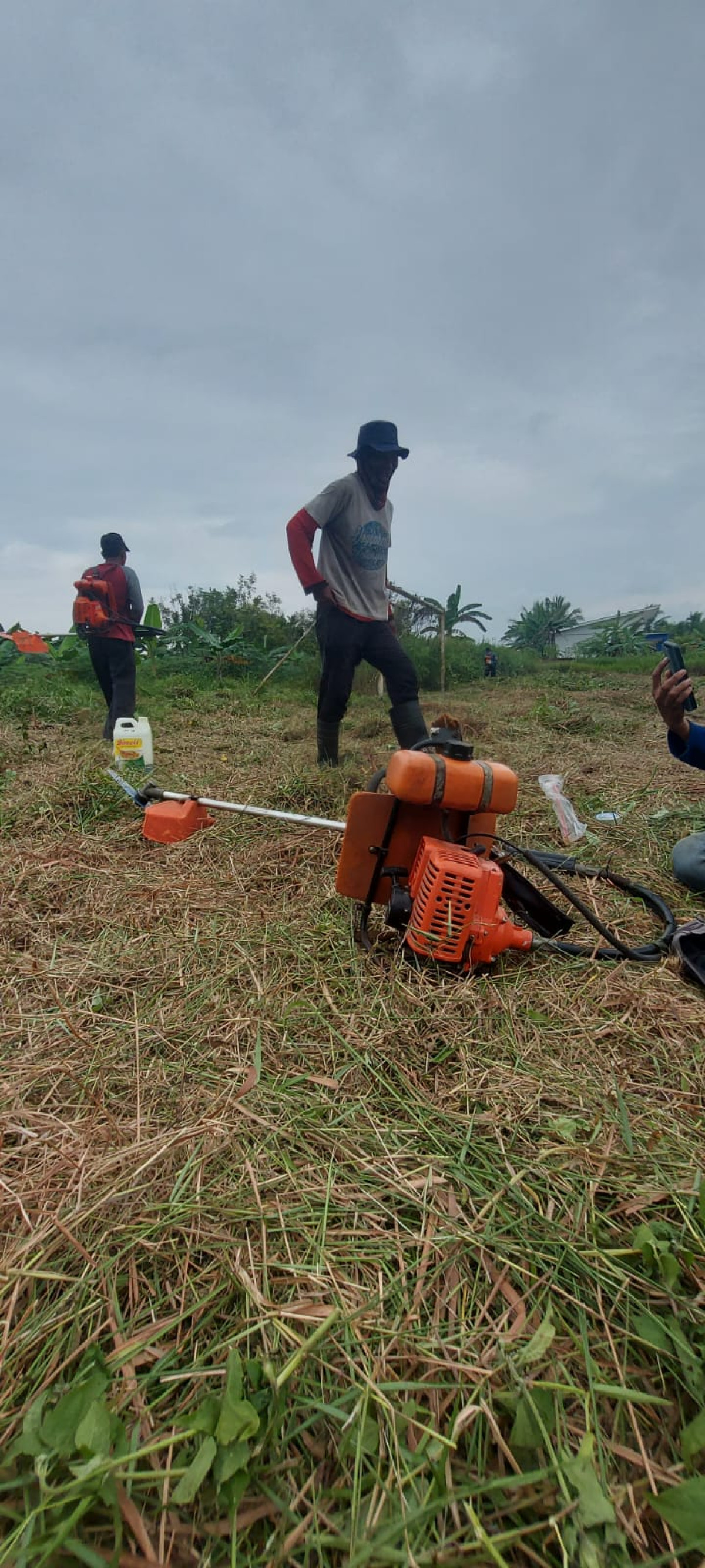 Gotong -royong pemotongan rumput lapangan bola