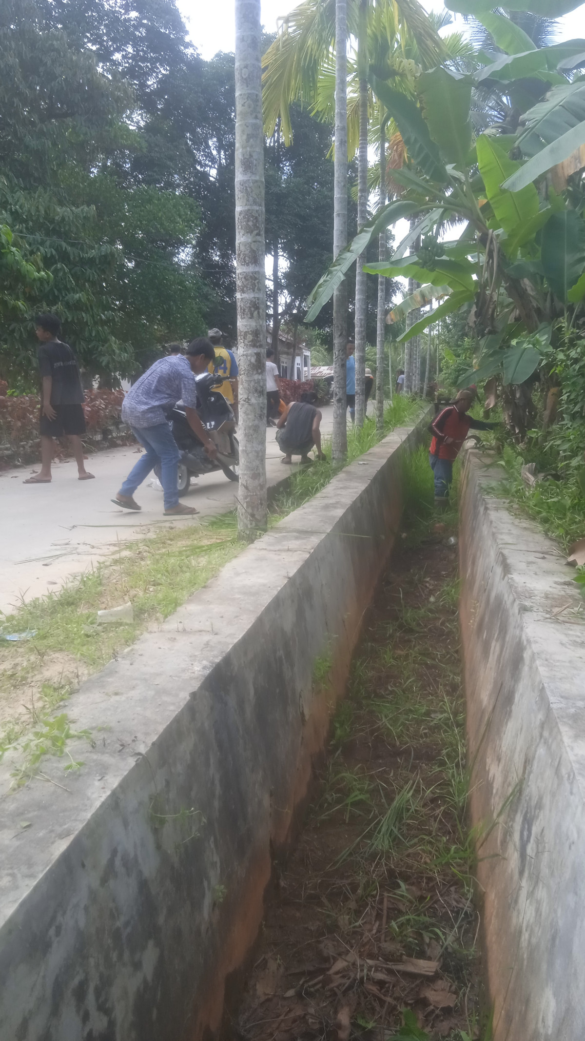 Jl mawar rt 20