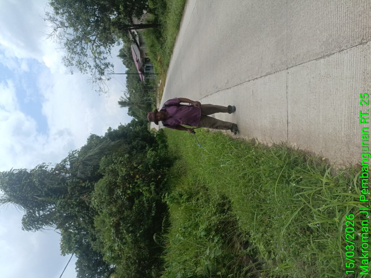 Penyemprotan rumput