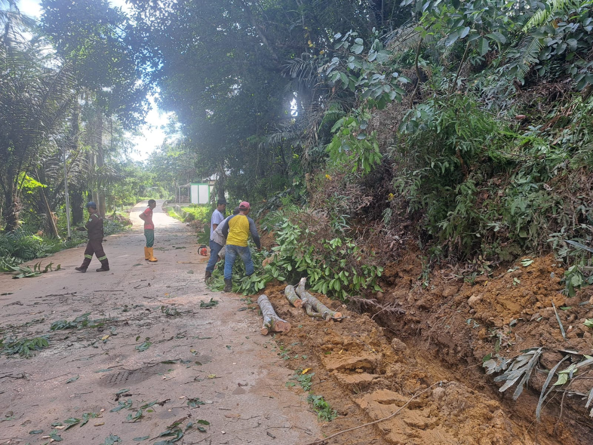 Gotong Royong Menebang Batang Pohon Rebah Rt 06 yang tumbang ke Jalan