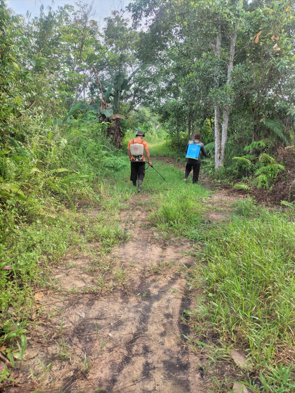 Gotong Royong Membersihkan Makam RT 07 Kelurahan Pulau atas